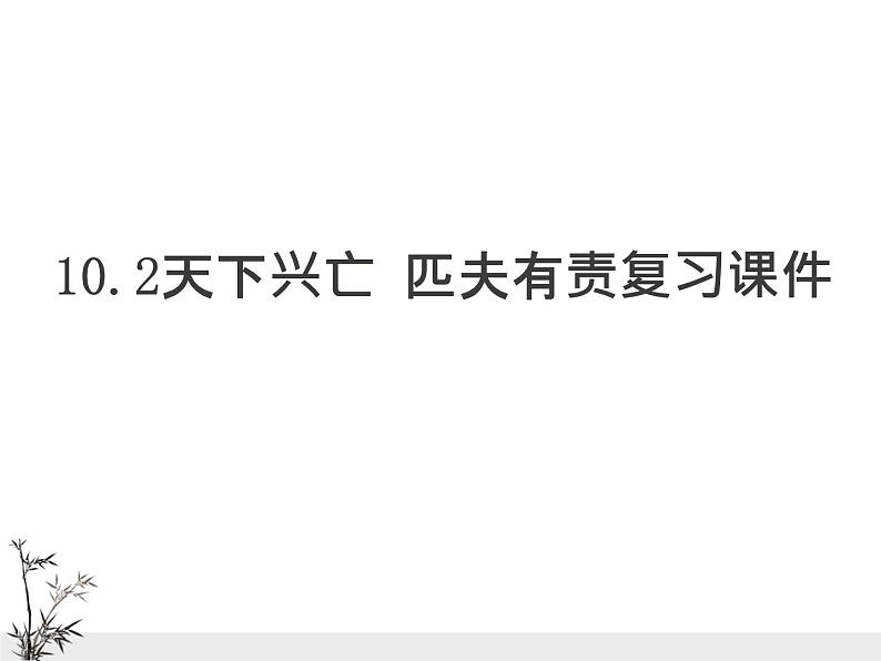 部编版八上道德与法治10.2天下兴亡 匹夫有责复习课件02