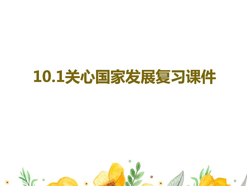 人教版道德与法治八年级上册 10.1 关心国家发展 复习课件02