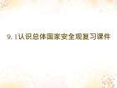 人教版道德与法治八年级上册 9.1 认识总体国家安全观 复习课件