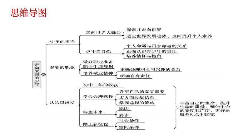 人教部编版道德与法治九年级下册 第三单元《走向未来的少年》复习课件02