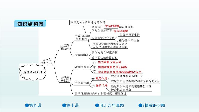 第四单元 走进法治天地 单元复习课件共72页02