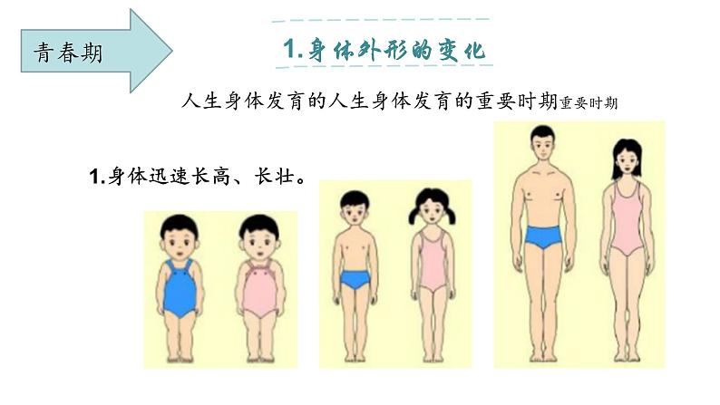 人教版七年级下册道德与法治1.1悄悄变化的我课件第8页