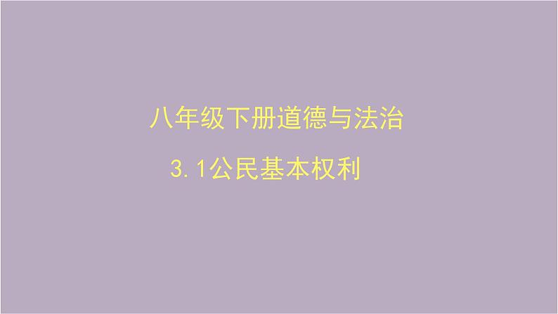 人教部编版八年级下册道德与法治3.1公民基本权利课件第2页