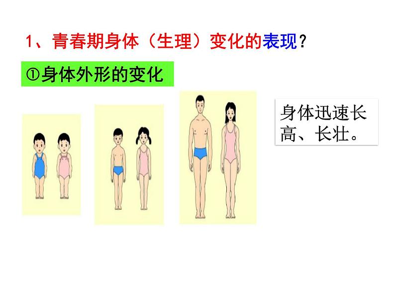 人教版七年级下册道德与法治1.1 悄悄变化的我 课件第7页