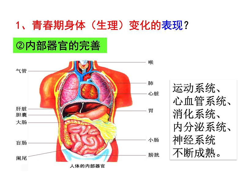 人教版七年级下册道德与法治1.1 悄悄变化的我 课件第8页