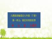 人教版道德与法治九年级下册 第一单元 我们共同的世界 复习课件