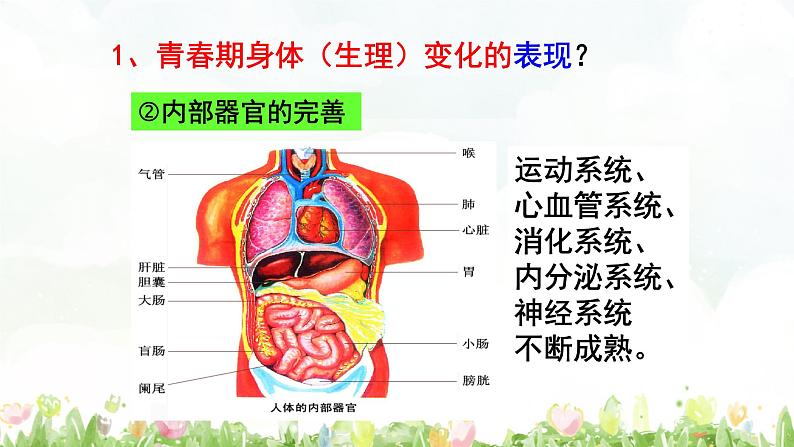 1.1悄悄变化的我第8页