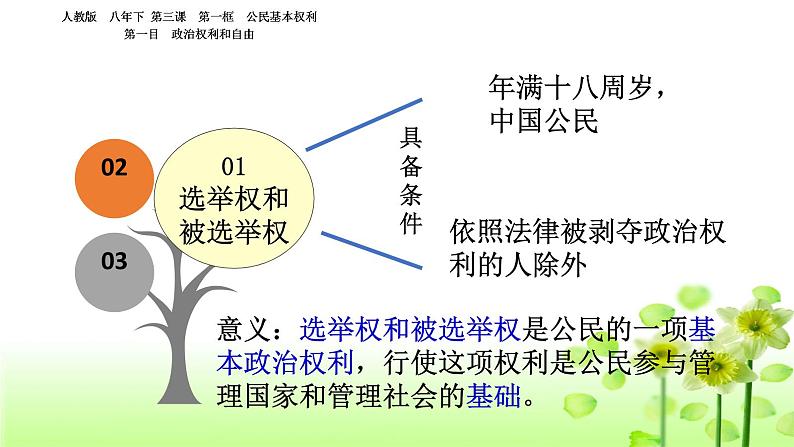 人教版道德与法治八年级下册3.1公民基本权利课件第7页