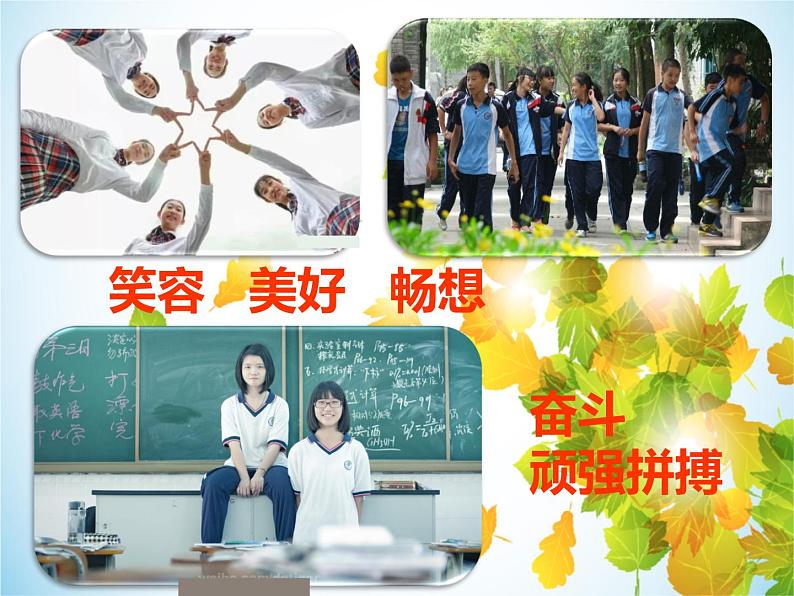 人教版七年级下册道德与法治1.2成长的不仅仅是身体课件04