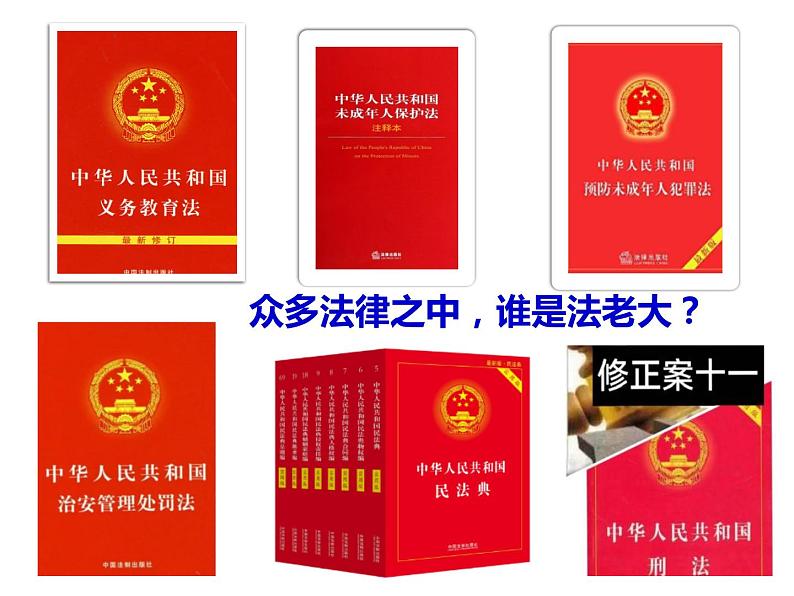 八年级下册道德与法治1.1党的主张和人民意志的统一课件第5页