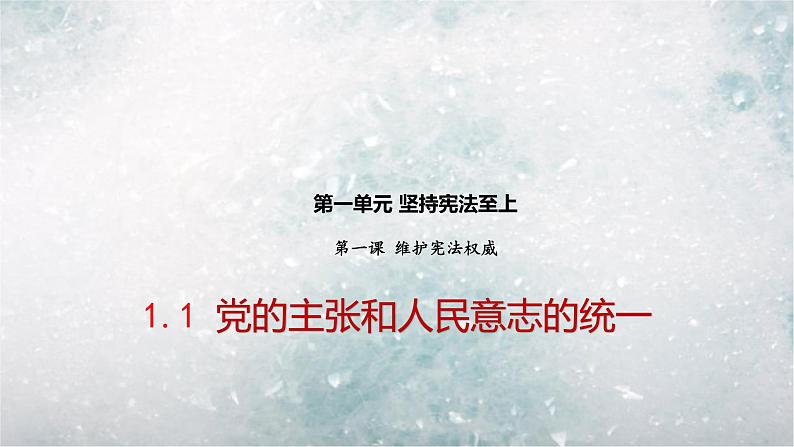 八年级下册道德与法治1.1 党的主张和人民意志的统一课件第2页