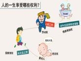 2020-2021学年人教版道德与法治八年级下册  3.1 公民的基本权利 课件