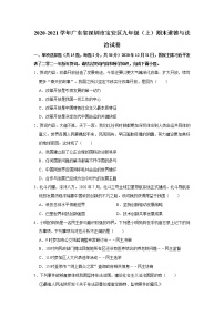 2020-2021学年广东省深圳市宝安区九年级（上）期末道德与法治试卷     解析版