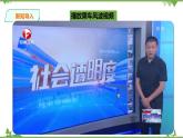 3.2依法行使权利（课件+教案+练习+视频素材）