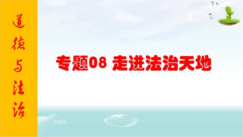 2021年中考九年级道德与法治专题08 走进法治天地 复习课件01