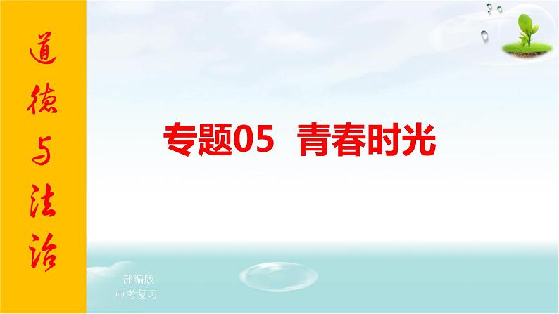 2021年中考九年级道德与法治专题05 青春时光 复习课件01