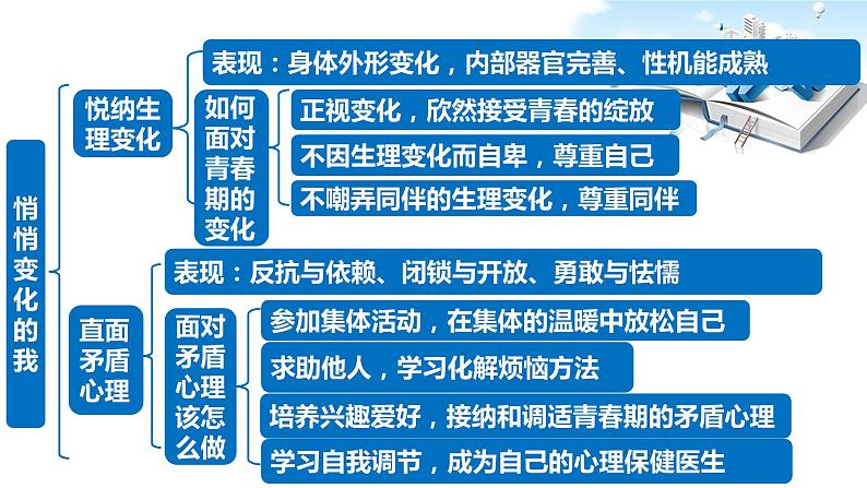 2021年中考九年级道德与法治专题05 青春时光 复习课件06