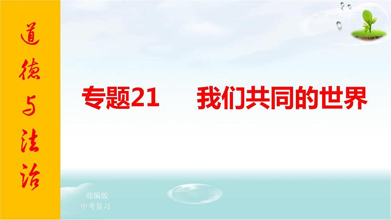 2021年中考九年级道德与法治专题21 我们共同的世界 复习课件01