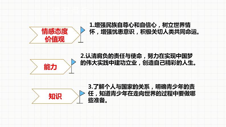 人教部编版道德与法治九年级下册3.5《少年当自强》PPT04