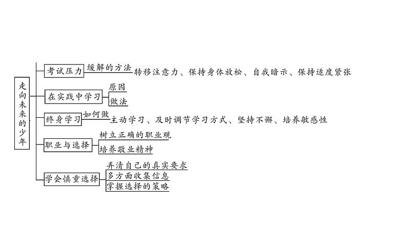 2021年四川中考道德与法治一轮考点梳理课件 九年级下册第三单元 走向未来的少年课件07