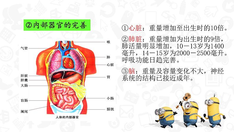 七年级下册道德与法治1.1悄悄变化的我课件第7页