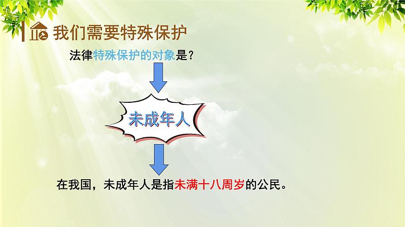 部编版七年级下册道法 4.10.1 法律为我们护航课件03