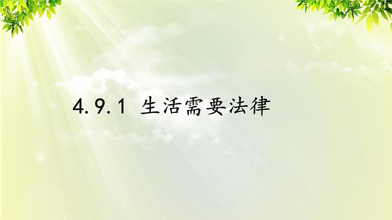 部编版七年级下册道法 4.9.1 生活需要法律课件01