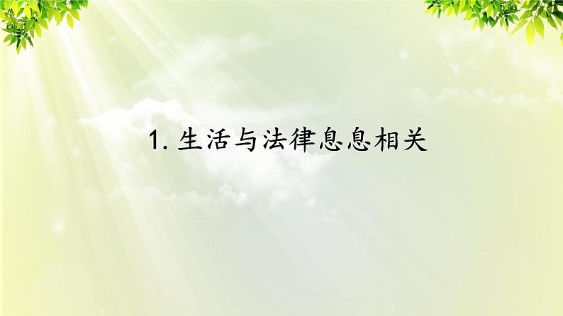 部编版七年级下册道法 4.9.1 生活需要法律课件02