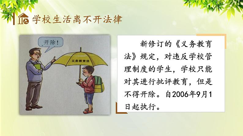 部编版七年级下册道法 4.9.1 生活需要法律课件04