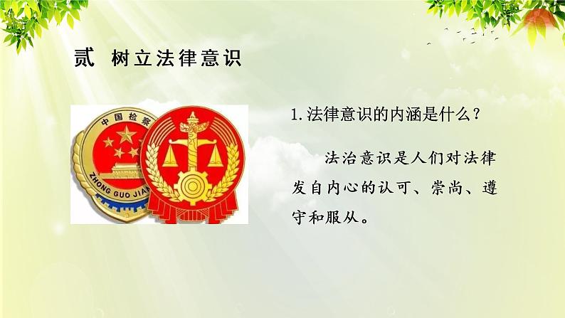 部编版七年级下册道法 4.10.2 我们与法律同行课件05