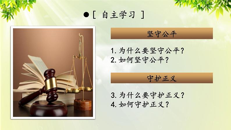 部编版八年级道法下册 4.8.2 公平正义的守护课件04