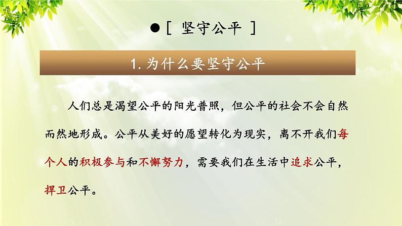 部编版八年级道法下册 4.8.2 公平正义的守护课件07