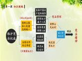 部編版八年級道法下冊 1.1.1 黨的主張和人民意志的統(tǒng)一課件