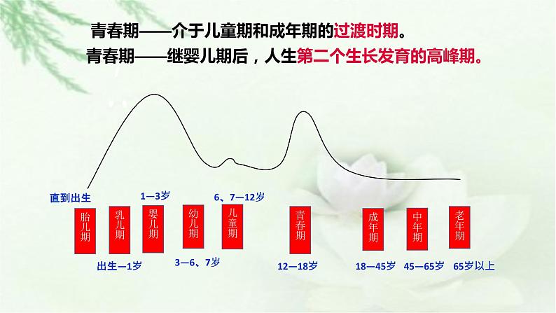 部编版 七下  1.1 悄悄变化的我 课件（34张PPT）01