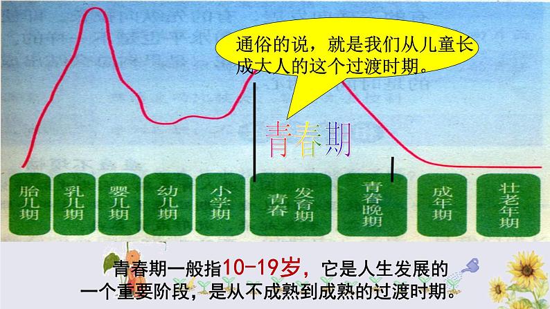 1.1 悄悄变化的我课件05