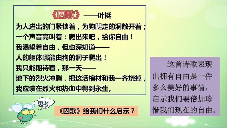 八年级下册《自由平等的追求》课件03