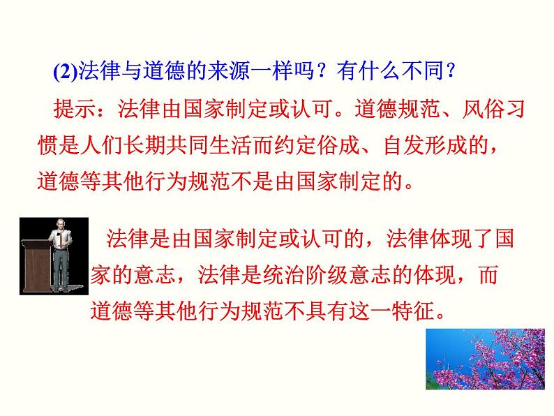 2020-2021学年部编版道德与法治七年级下册 9.2 法律保障生活 课件（56张PPT）第6页