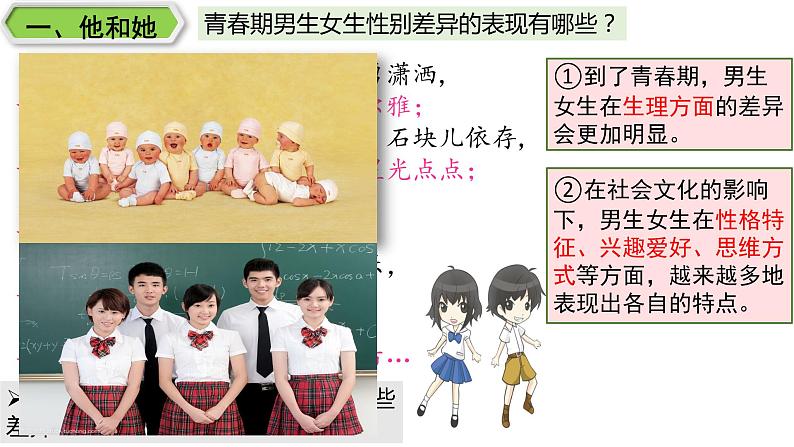 2020-2021学年人教版道德与法治七年级下册   2.1 男生女生  课件（17张PPT）第4页