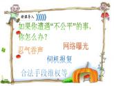 8.2公平正义的守护 课件（共28张PPT)