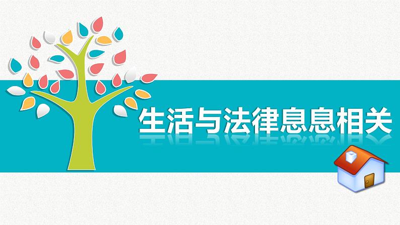 9.1 生活需要法律 课件26张第5页