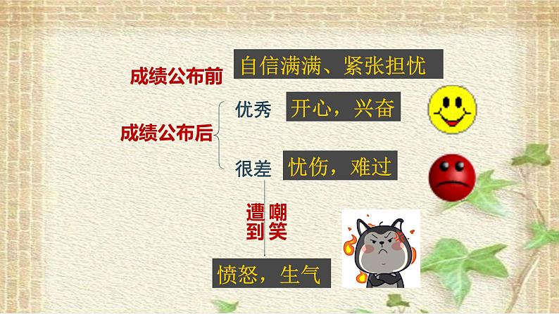 4.1：青春的情绪课件07