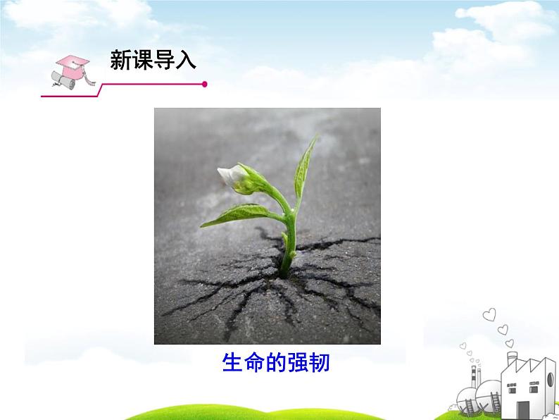 10.1感受生命的意义--七年级道德与法制上册第3页