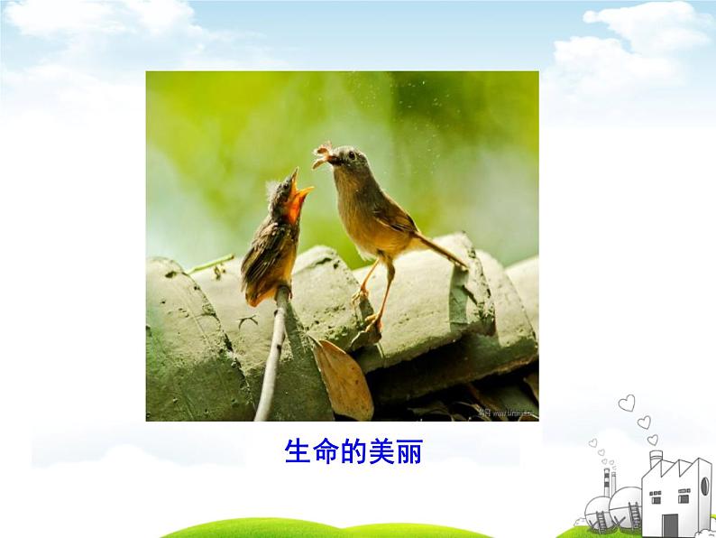 10.1感受生命的意义--七年级道德与法制上册第4页