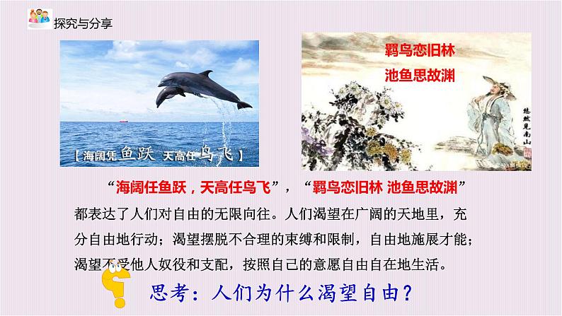 7.1自由平等的真谛课件第8页