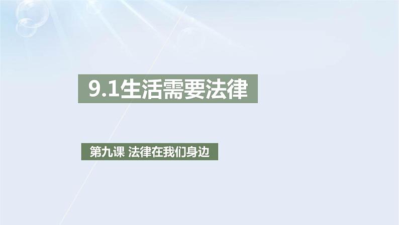 9.1生活需要法律课件02