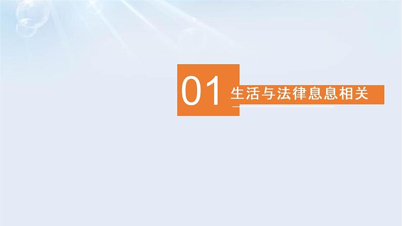 9.1生活需要法律课件04