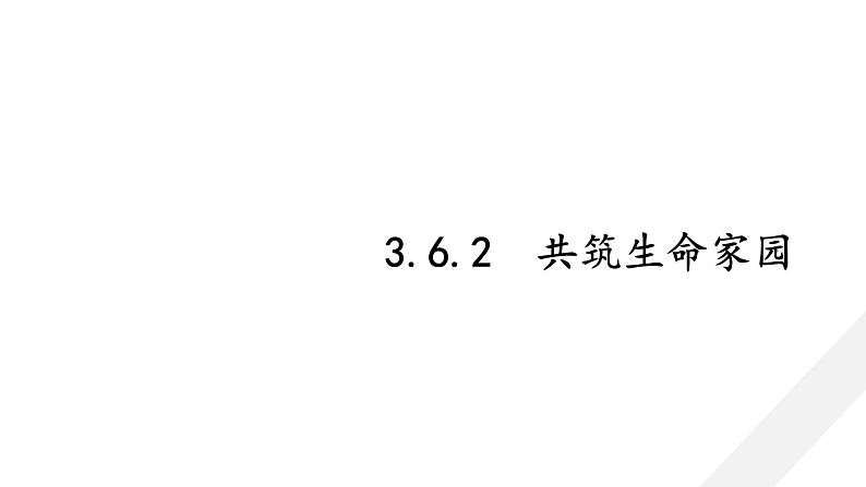 人教版道德与法治九年级上册 6.2 共筑生命家园 课件（29张PPT）01