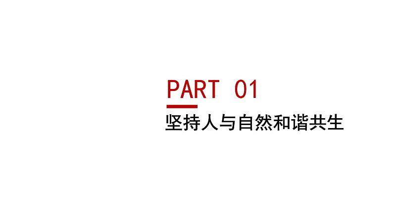 人教版道德与法治九年级上册 6.2 共筑生命家园 课件（29张PPT）05