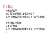 8.1 公平正义的价值课件