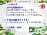 法律为我们护航课件(部编版)